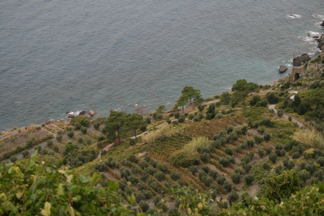 cinqueterre6.jpg